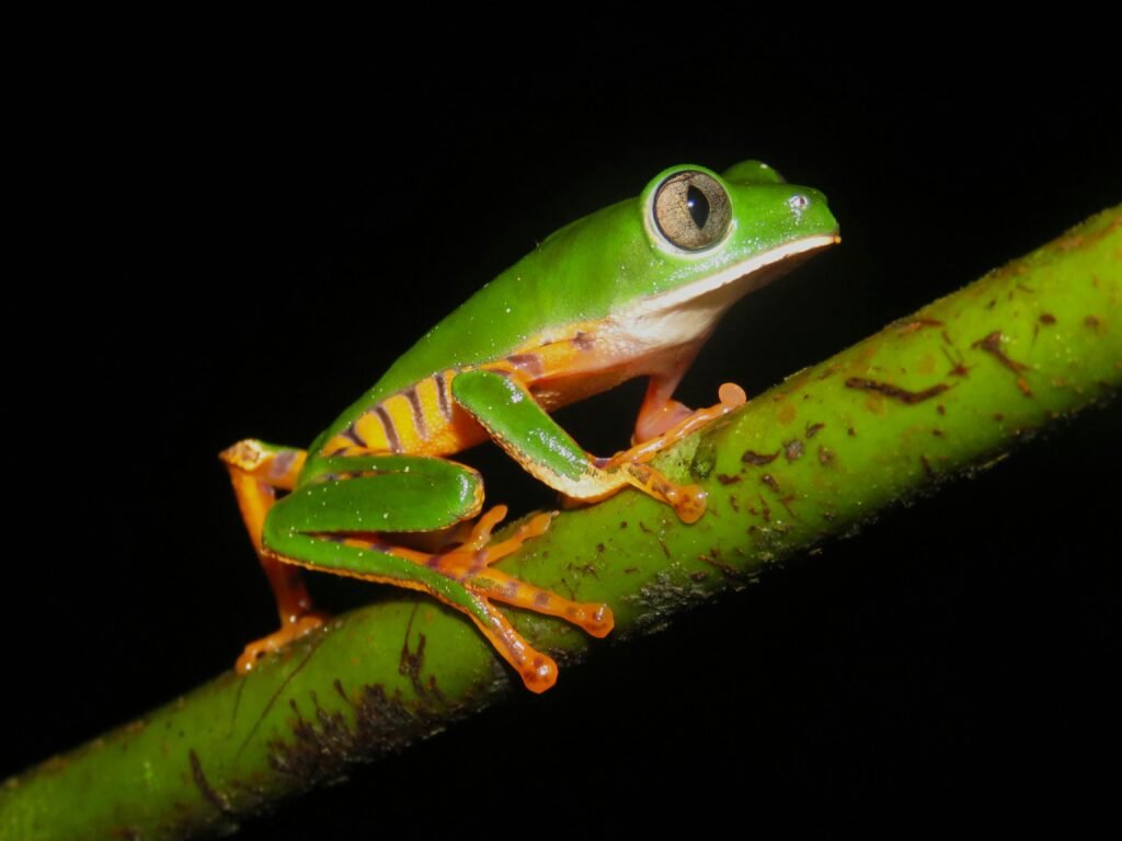 7 Products Every Reptile Owner Needs