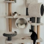 Top Cat Towers in Different Sizes