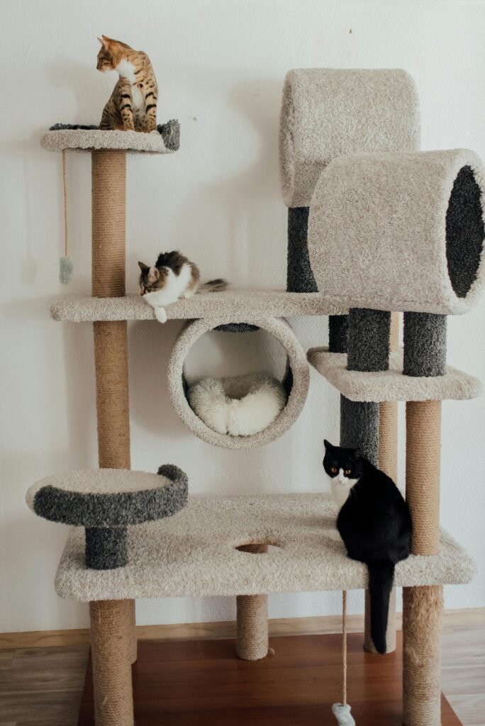 Top Cat Towers in Different Sizes